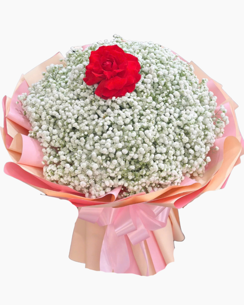  Bó Hoa Đóa Hồng Baby - HBT110 