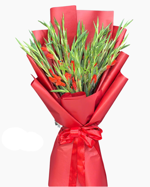 Hoa Bó Dài: Bó Hoa Lay Ơn Đỏ - HBD322