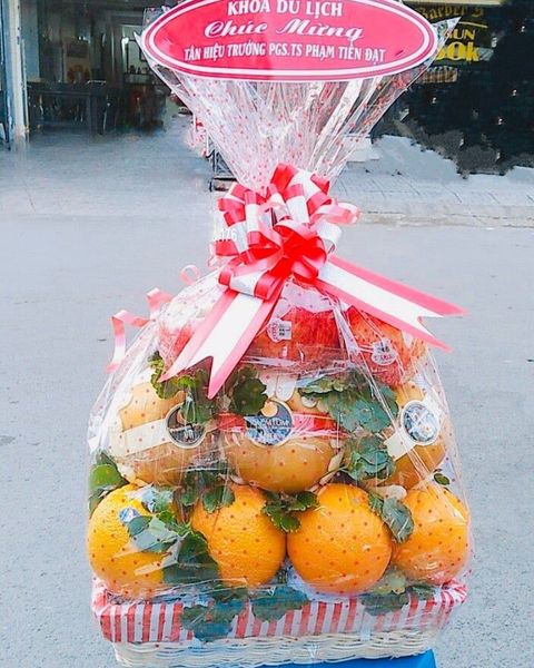 Giỏ Trái Cây: Giỏ Trái Cây Orange - GTC45
