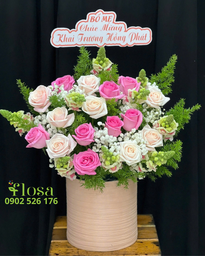  Hộp Hoa Tinh Tú - HH113 