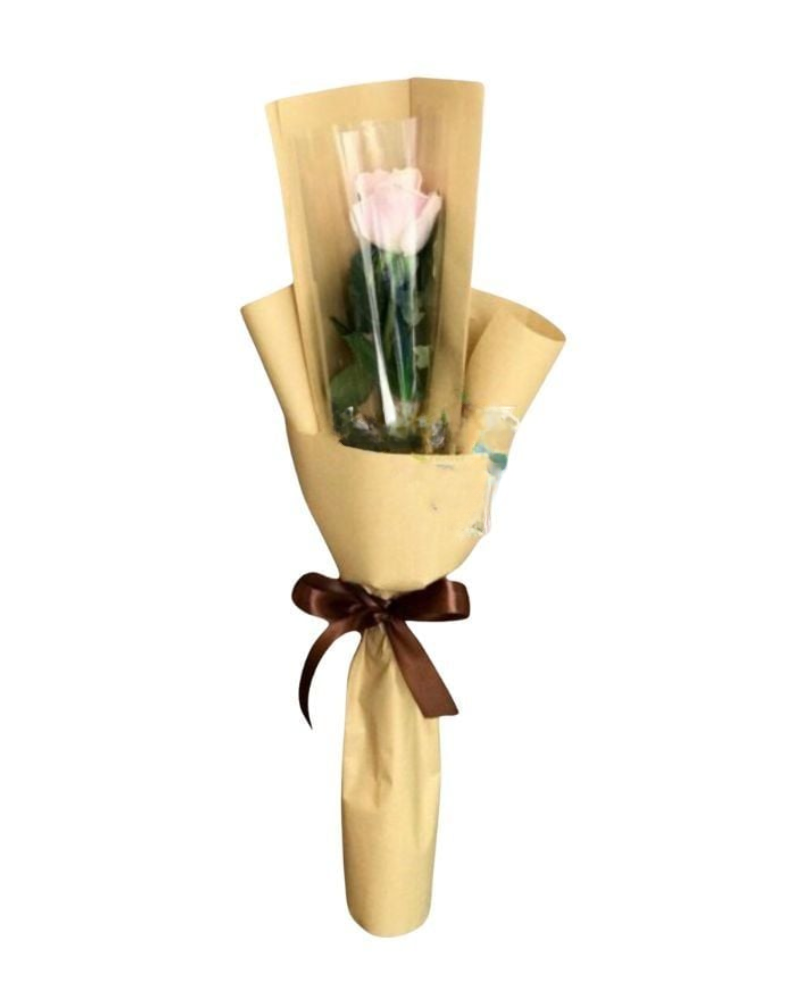  Pastel Một Bông - HBD80 