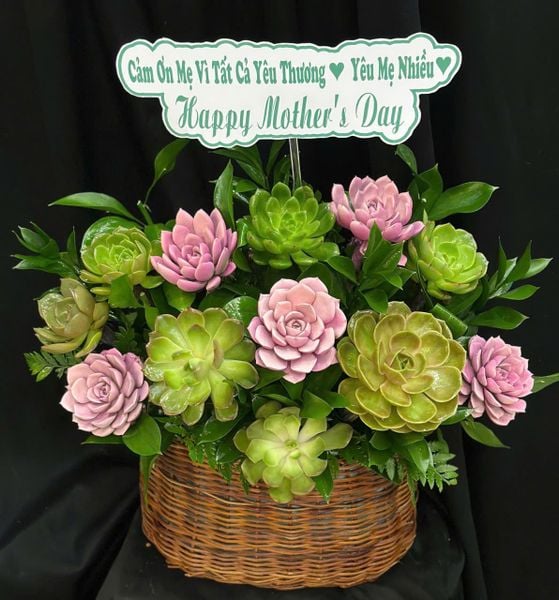 Giỏ Hoa Khai Trương: Giỏ Hoa Mộc An Yêu Thương - HG103