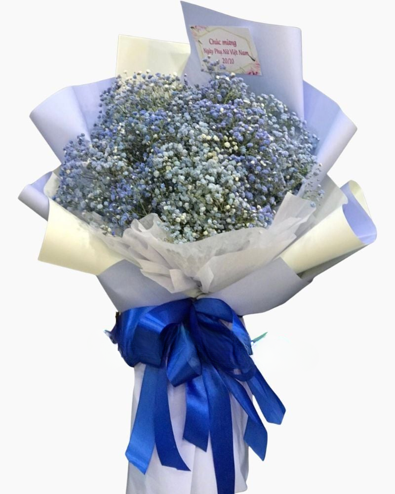  Bó Hoa Babi Hà Lan Xanh - HB01 