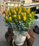  Bình Hoa Tulip Vàng - HCB83 