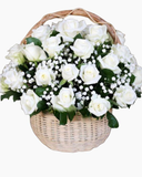  Rose White - GHV07 
