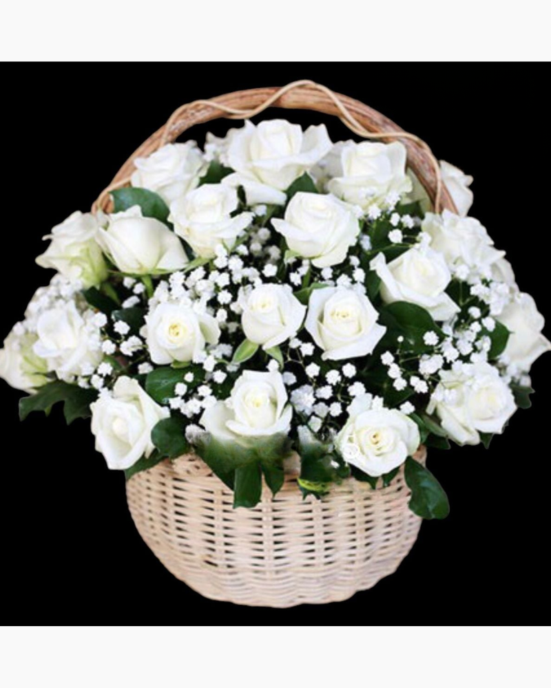 Rose White - GHV07 