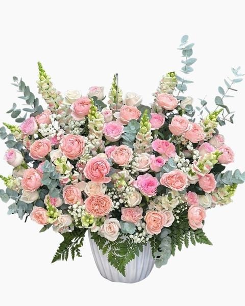 Hộp Hoa Tươi: Hoa Hộp Sương Mai Hồng Phấn  - HH199