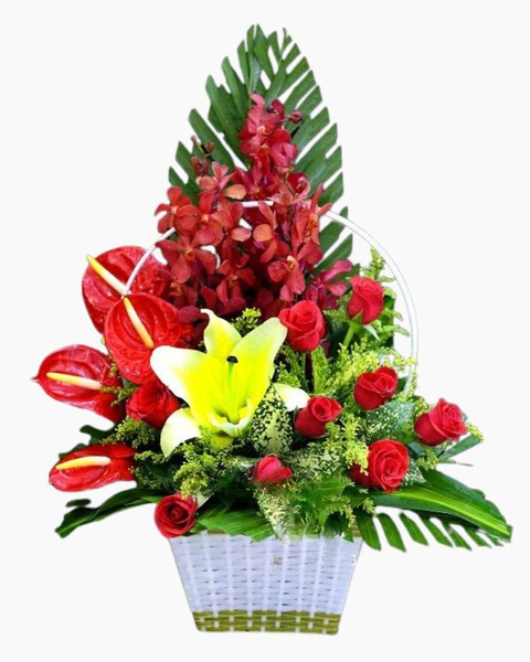 Hoa Tươi: Giỏ Hoa Mini Thanh Âm - HG10 - Hoa Tươi