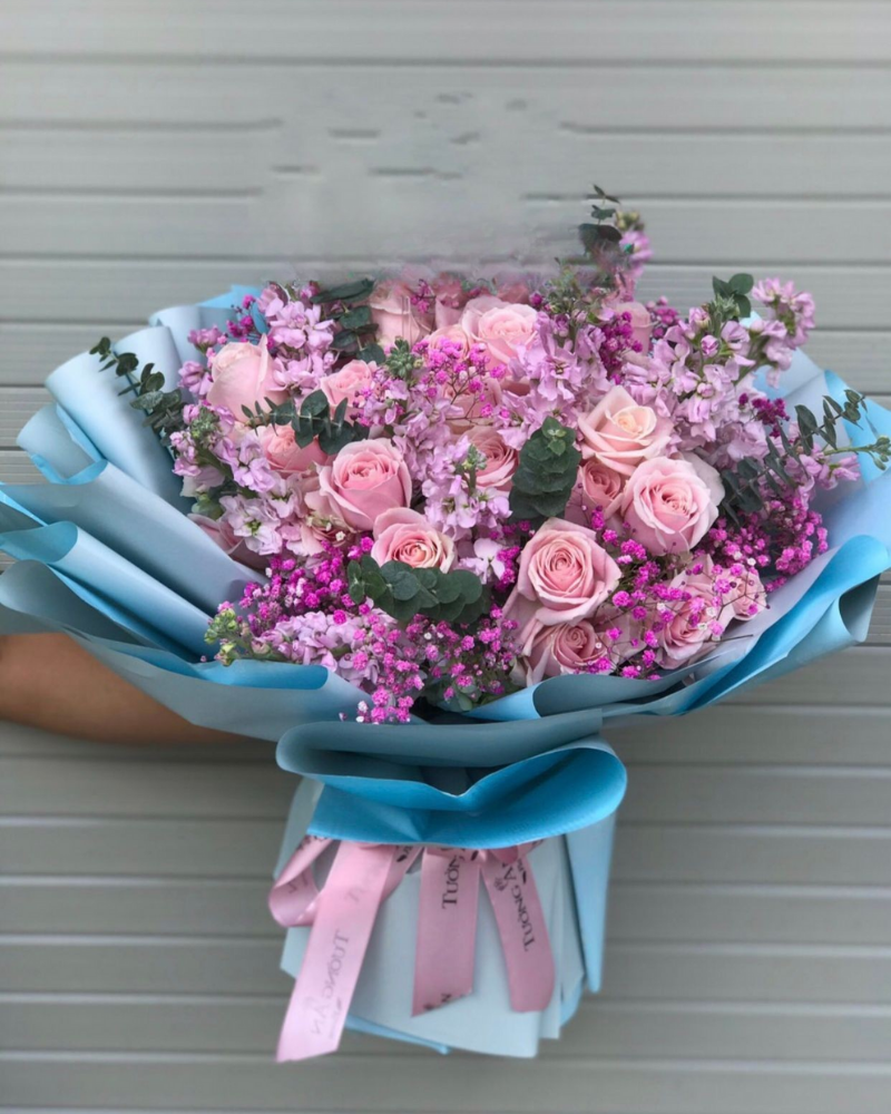  Romance - HBT02 