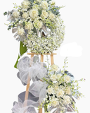  Hoa Tình Thương Tiếc - HTL146 