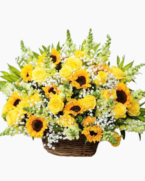 Hoa Hướng Dương: Giỏ Hoa Khai Trương Ngày Hạ - HG39