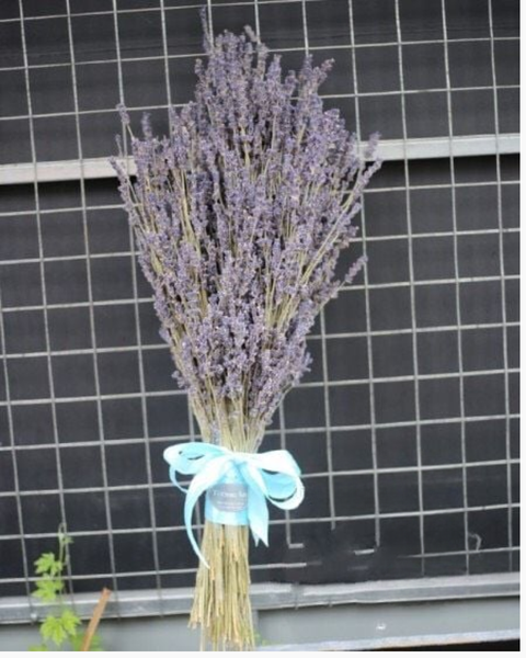 Hoa Lavender: Bó Hoa Lavender Mộc Mạc - LVD04 - Điện Hoa