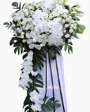  Tiếc Thương - HTL54 - Vòng hoa đám tang 