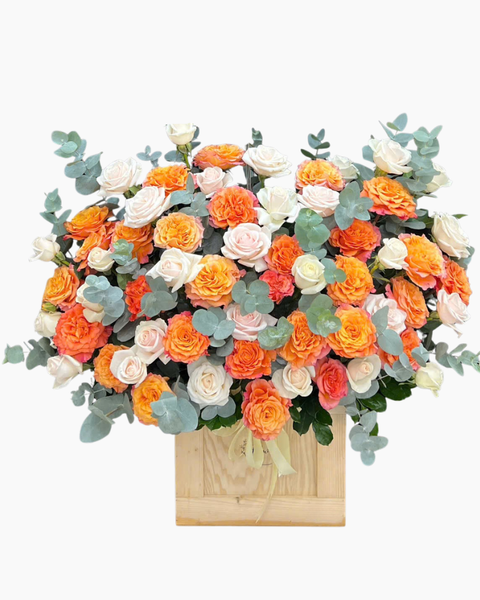 Hộp Hoa Tươi: Hộp Hoa Ánh Cam - HH185