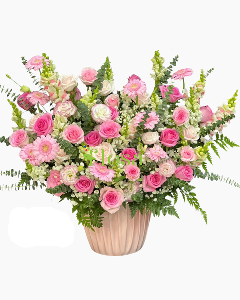 Hộp Hoa Tươi: Hộp Hoa Hồng Ngọt - HH105