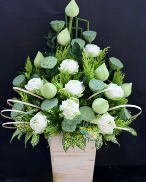 Hoa 20/11: White Lotus - HCH26 - Hoa 20/11 Đẹp Tặng Thầy Cô Giáo