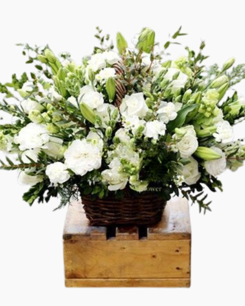 Giỏ Hoa Khai Trương: Thuần Khiết - HG36