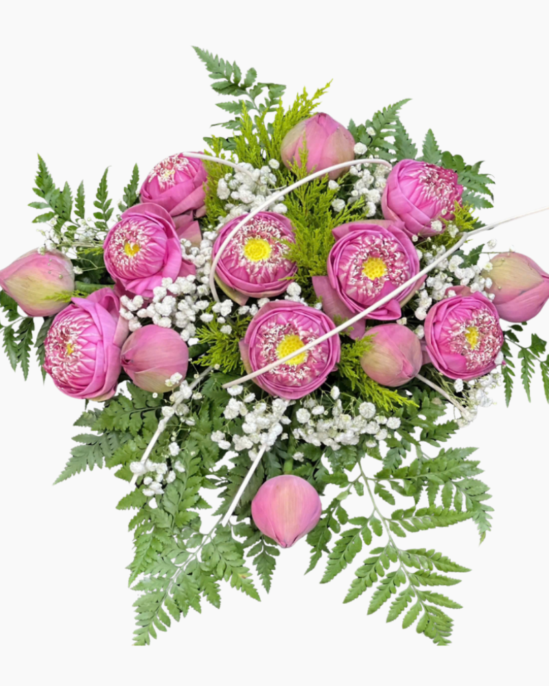  Hồng Sen Dịu Dàng  - BPB18 