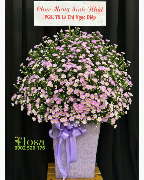 Hộp Hoa Tươi: Hộp Hoa Thạch Thảo  - HH117
