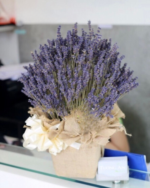 Hoa Lavender: Hộp Hoa Lavender - LVD02