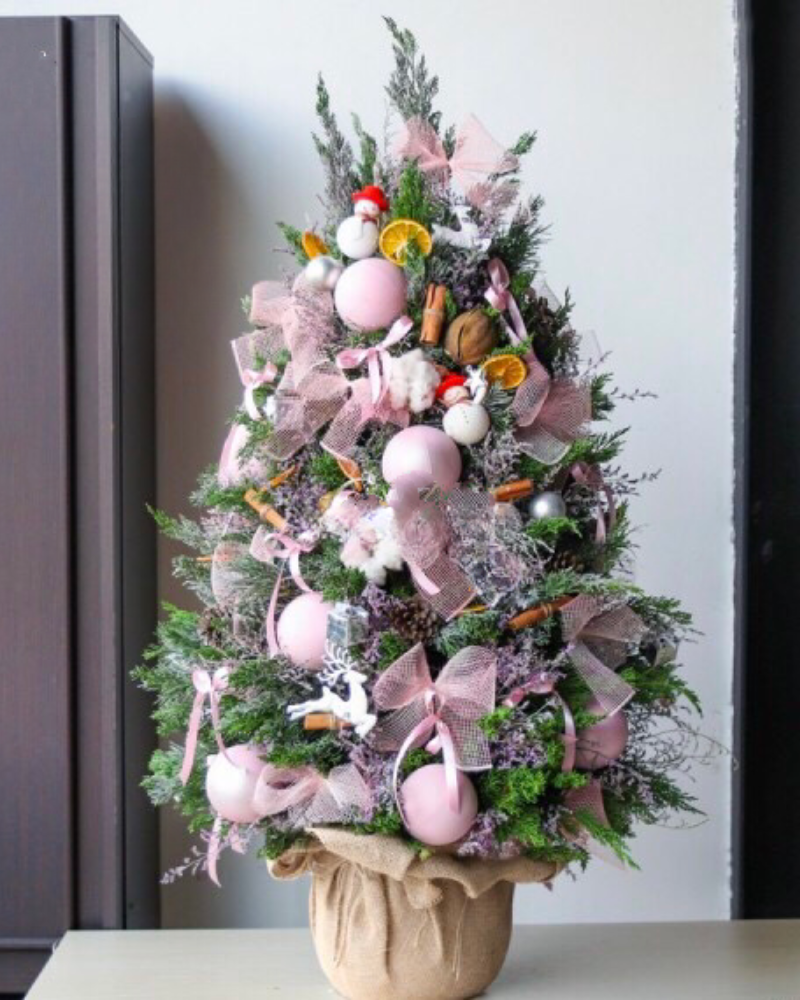  Cây Thông Noel Holly Jolly Cedar - HGS10 - Giáng Sinh Hạnh Phúc 