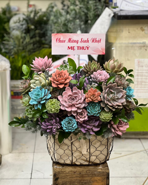 Giỏ Hoa Khai Trương: Giỏ Hoa Sen Đá - HG62 - Ngày Của Mẹ