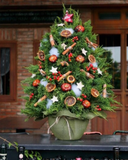  Cây Thông Noel Merry Spruce - HGS09 - Giáng Sinh An Lành 