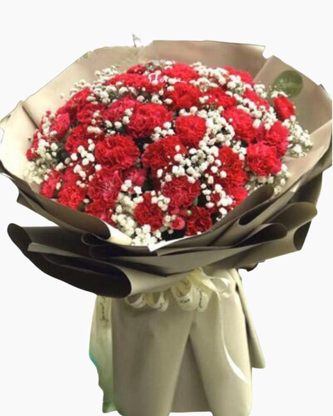 Hoa Bó Tròn: Red Carnation - HBT56
