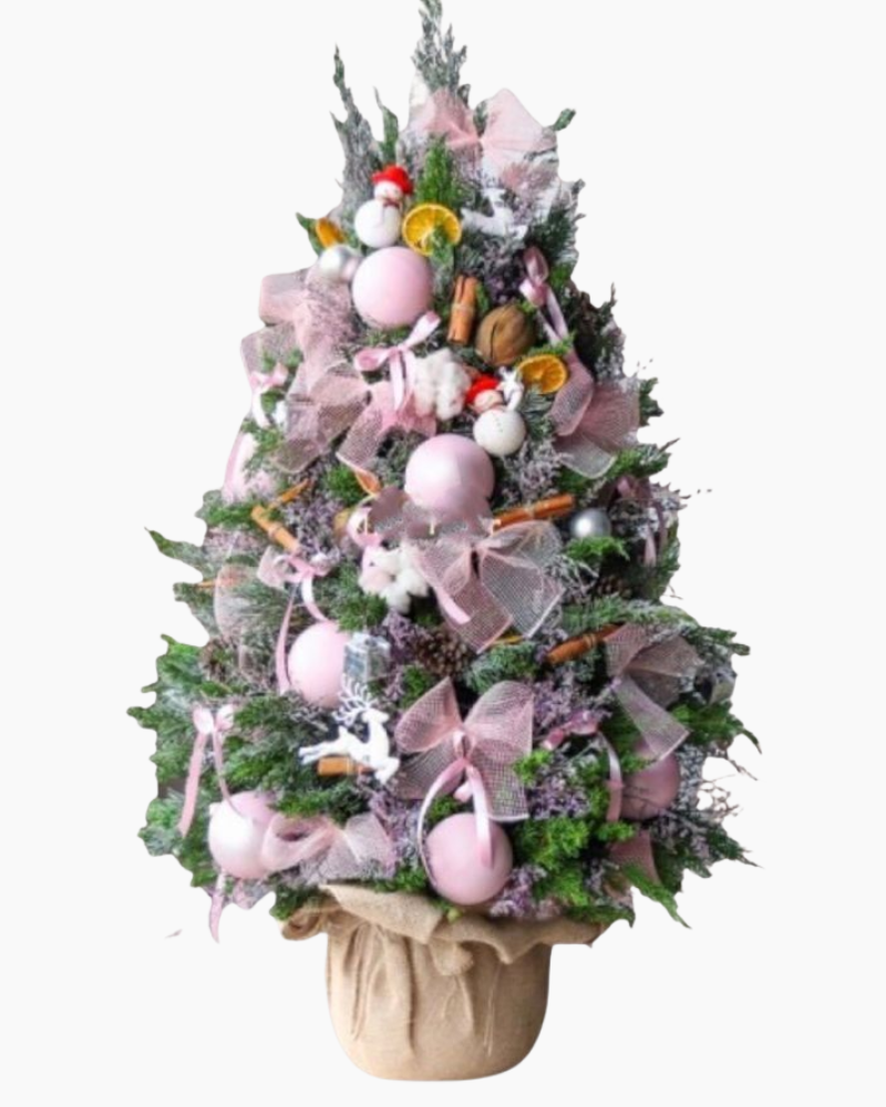  Cây Thông Noel Holly Jolly Cedar - HGS10 - Giáng Sinh Hạnh Phúc 