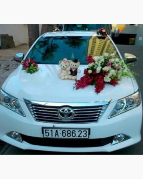 Hoa Tươi: Chuyến Xe Hạnh Phúc - XH03 - Hoa Tươi