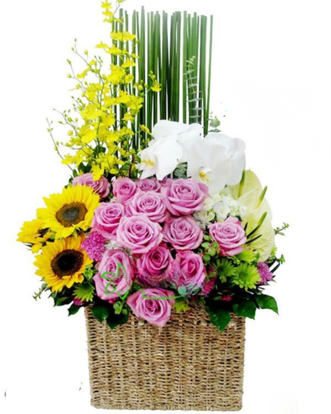 Giỏ Hoa Khai Trương: Bé Xinh - HG27
