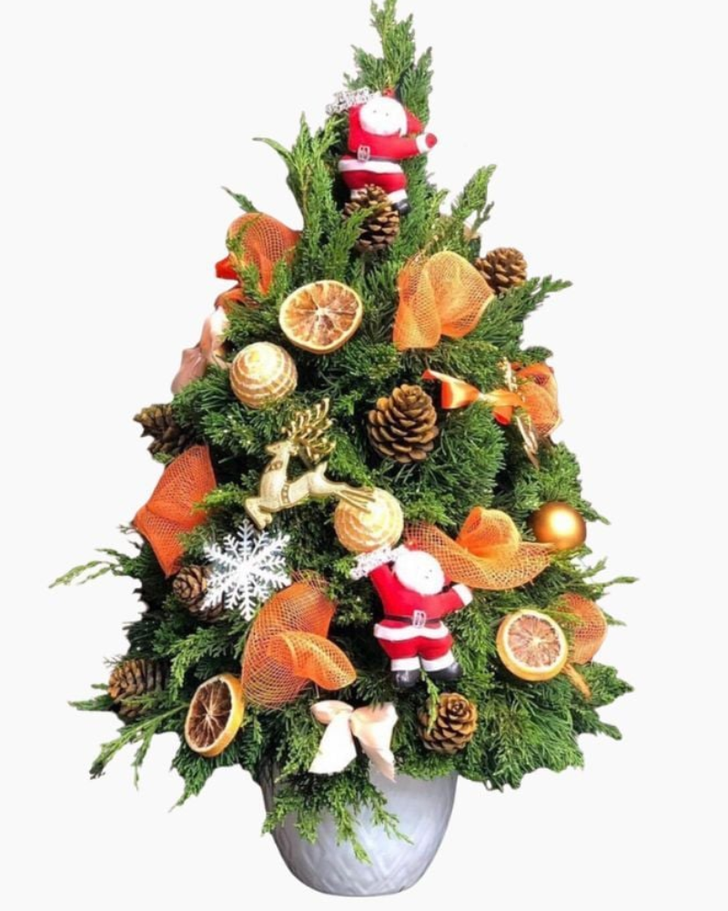  Cây Thông Noel Sparkle - HGS04 - Quà Giáng Sinh 