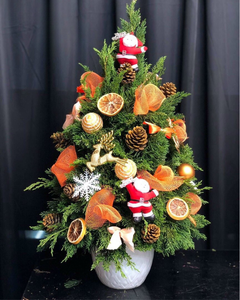  Cây Thông Noel Sparkle - HGS04 - Quà Giáng Sinh 