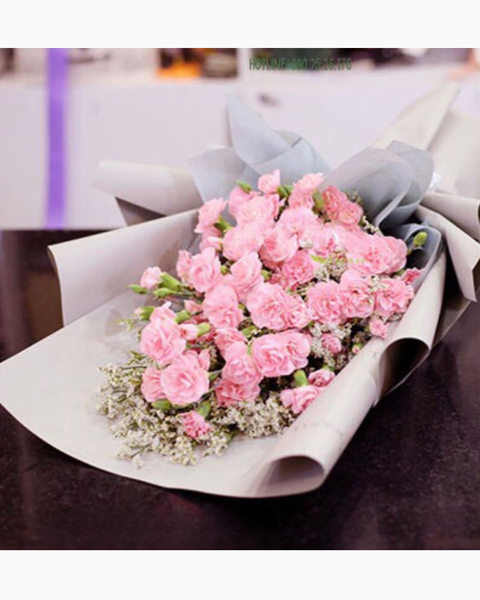 Hoa Bó Dài: Bó Hoa Cẩm Chướng Hồng - HBD54 - Hoa Tặng Mẹ