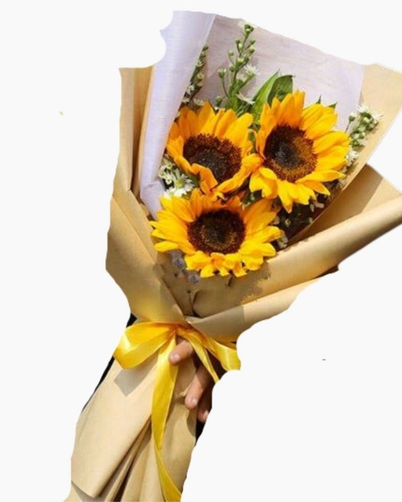 Tỏa Sáng - HBD37