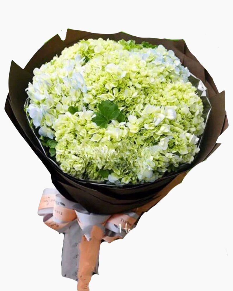 Bó Hoa Cẩm Tú Cầu - HBT51 - Hoa tặng mẹ