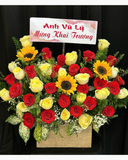  Hộp Hoa Đỏ Thuần- HCH135 