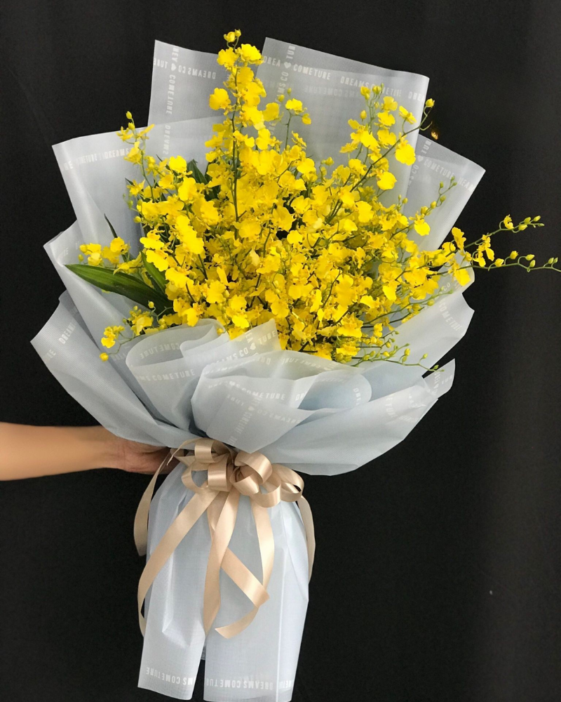  Bó Lan Vũ Nữ - HBD237 