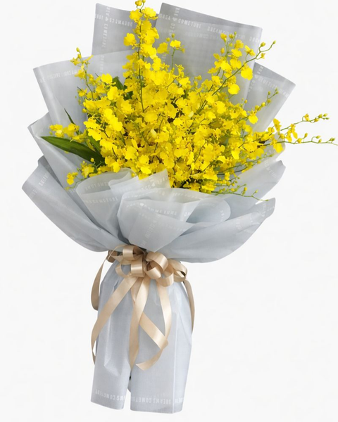 Tất Cả Sản Phẩm: Bó Lan Vũ Nữ - HBD237