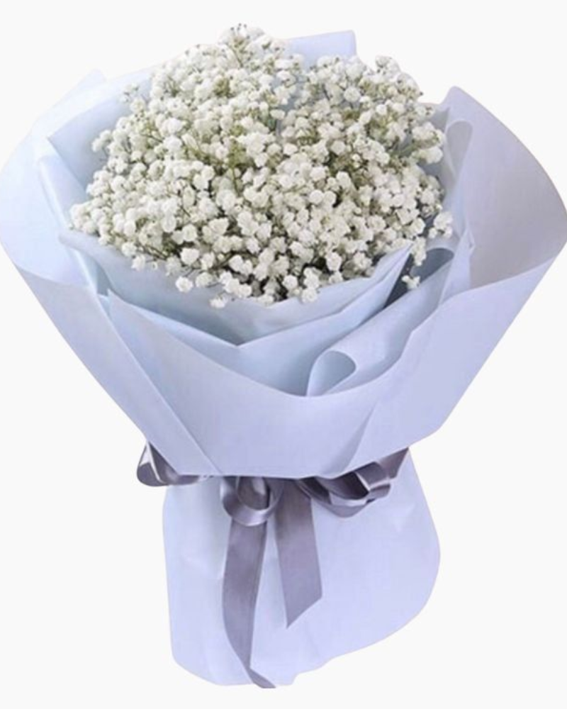  Bó Hoa Baby Trắng Tặng Bạn Gái - HBT58 