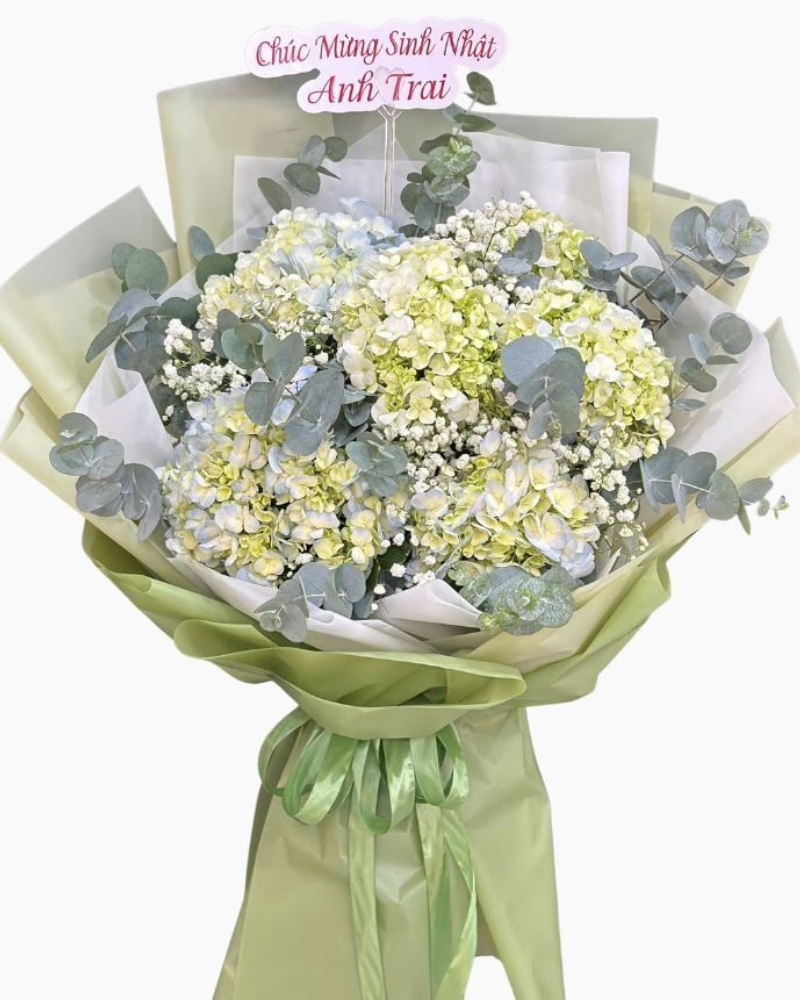 Bó Hoa Cẩm Tú Cầu Mơ Giữa Trời Thu- Hoa 20/10 - HBD282