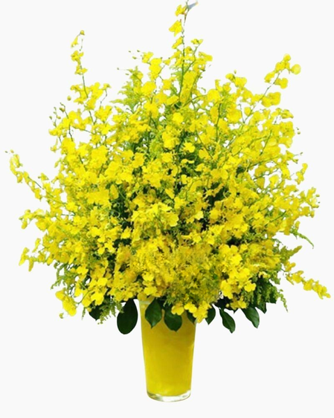 Hoa Cắm Bình: Bình Hoa Lan Vũ Nữ - HCB23 - Hoa tặng mẹ