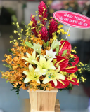  Sự Sống - HCH39 