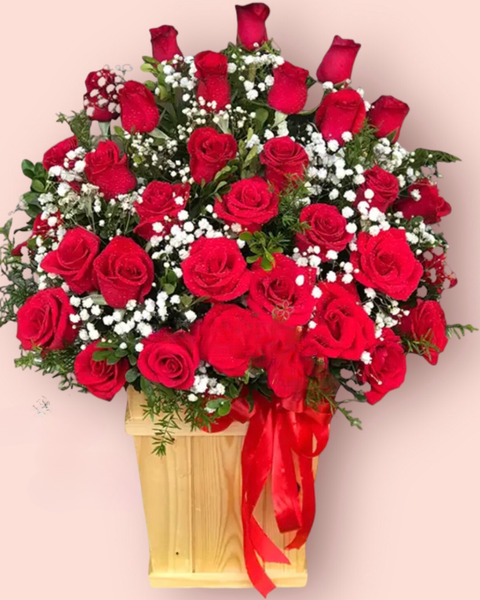 Hoa Màu Đỏ: My Dear - HCH34 - Hoa Hồng 20/10