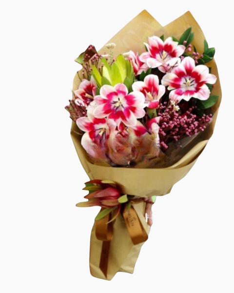 Hoa Bó Dài: Bó Hoa Tulip Hà Lan - HBD52