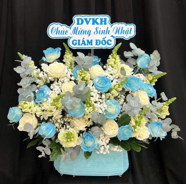 Hộp Hoa Tươi: Hộp Hoa Xanh Biển - HH182