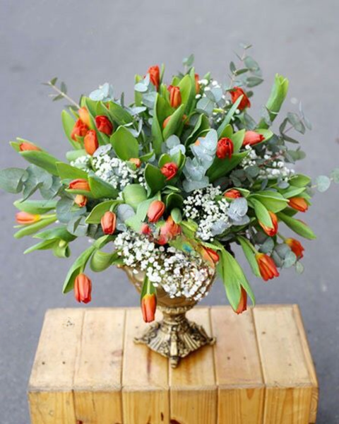 Hoa Cắm Bình: Bình Hoa Tulip - HCB11 - Hoa tặng Mẹ