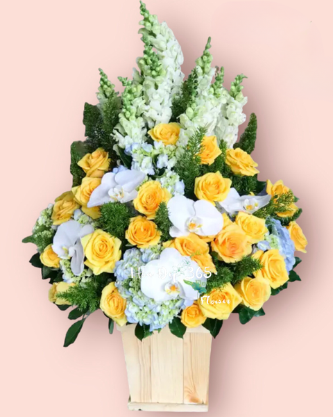 Hộp Hoa Tươi: Vững Chí Vươn Xa - HCH28