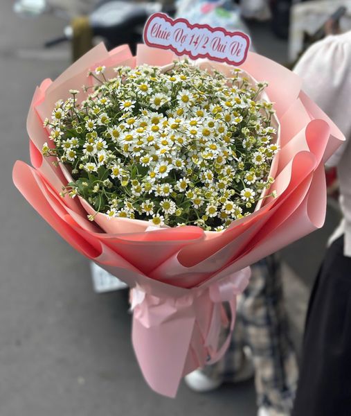 Hoa Bó Tròn: Bó Hoa Hanna Yêu  - HBT113