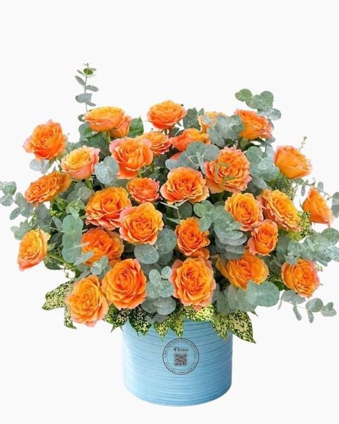 Hộp Hoa Tươi: Hoa Hộp Hòa Sắc Phú An - HH206